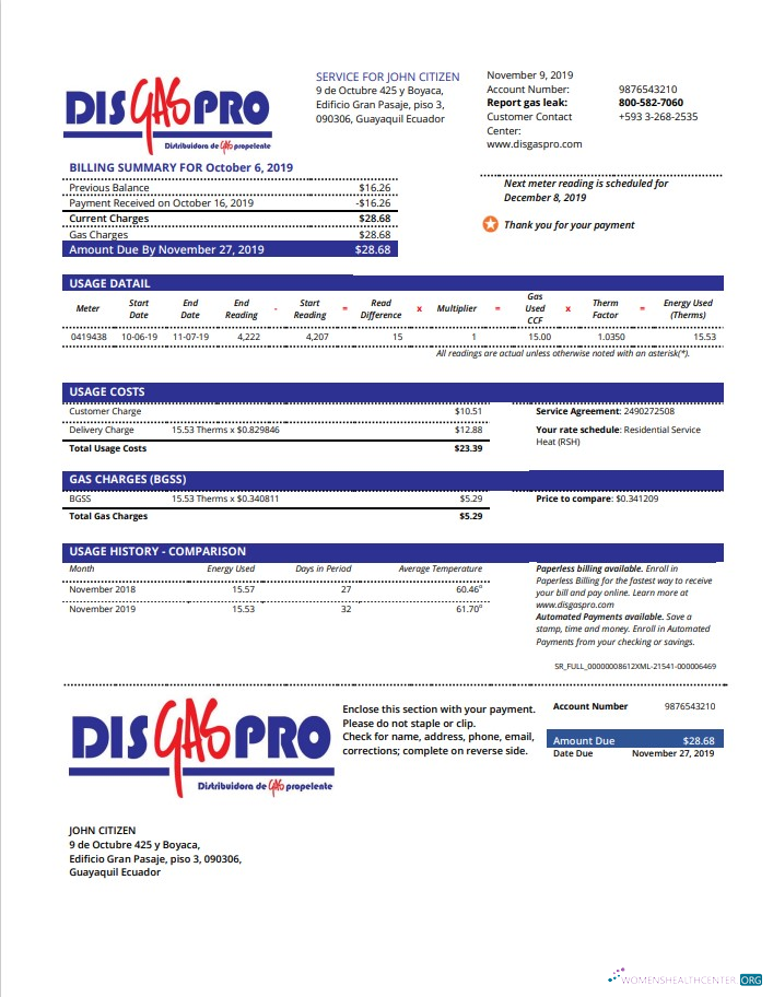 download download Ecuador Disgaspro gas utility bill template in Word and PDF format PDF template PDF template